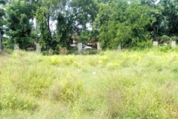 200 Square Yards Residential Plots For Sale At Langha Road Vikasnagar Dehradun